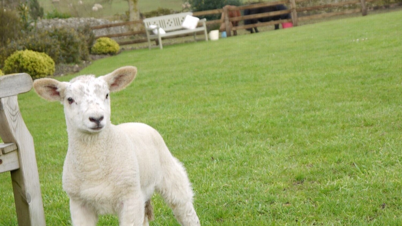 Photo of Others in Levisham