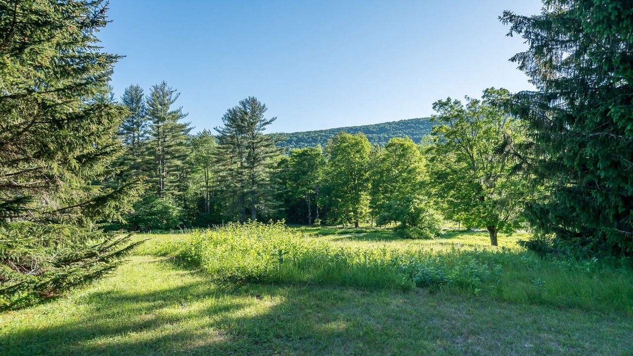 Photo of Outdoor in Andover