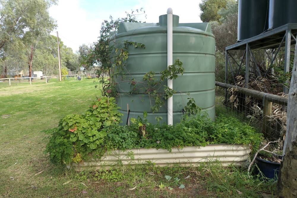 Photo of Outdoor in Walker Flat