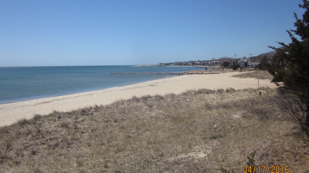 Photo of Others in West Hyannisport