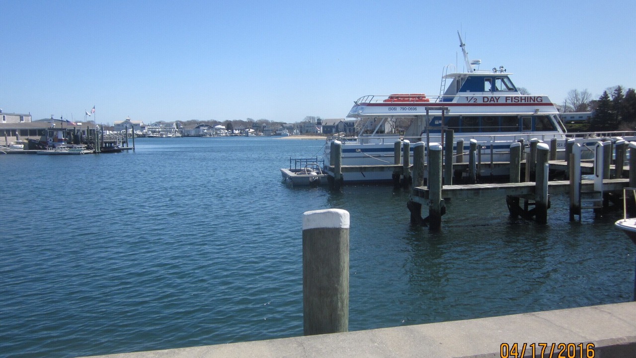 Photo of Others in West Hyannisport