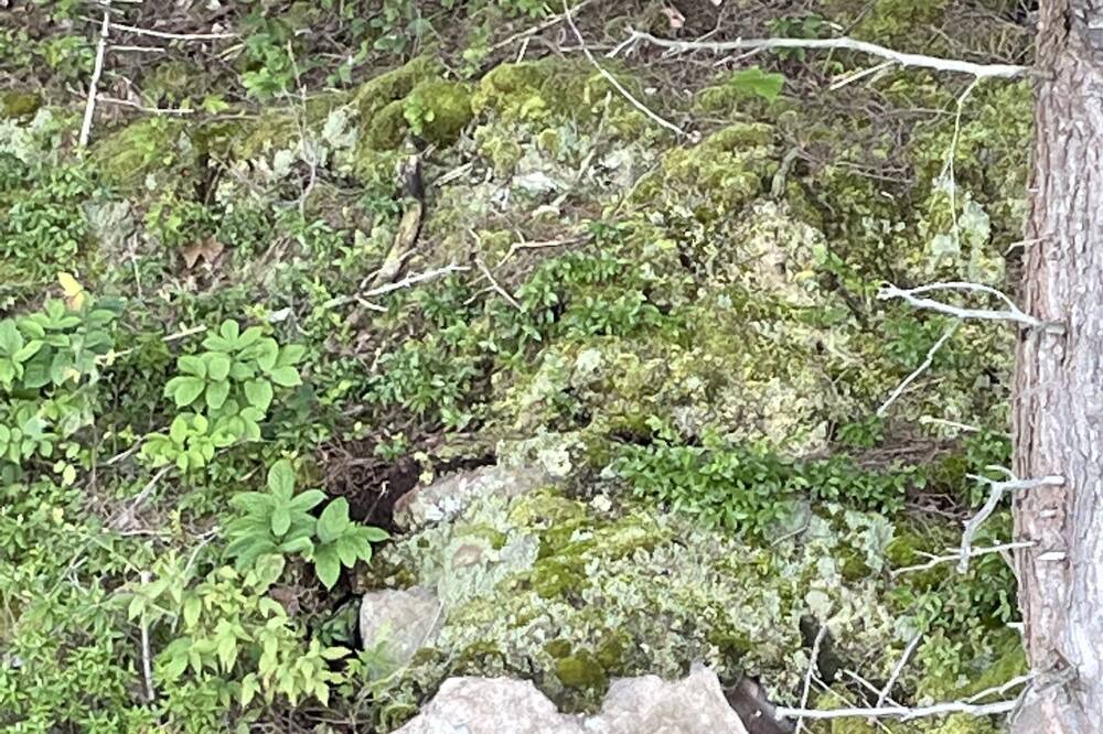 Photo of Others in Cranberry Lake