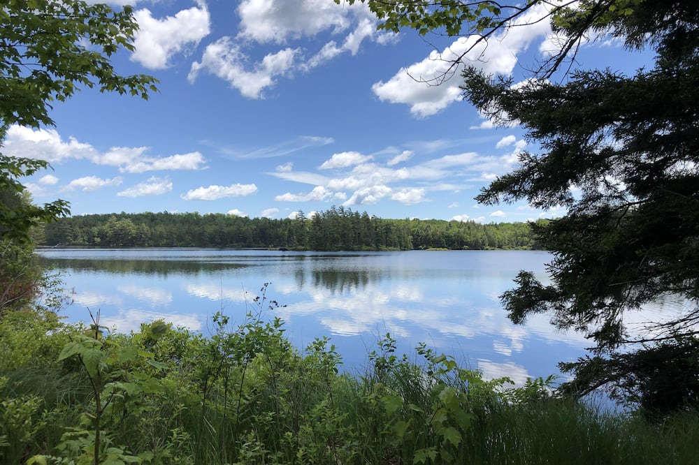 Photo of Outdoor in Cranberry Lake