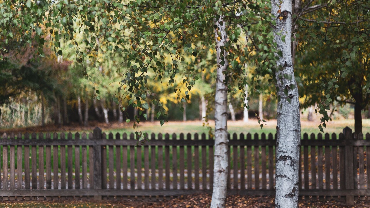 Photo of Outdoor in Beechworth