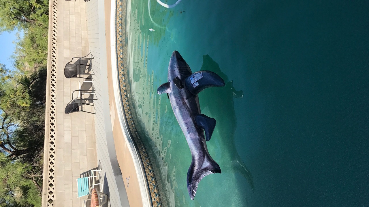 Photo of Outdoor in Carlsbad