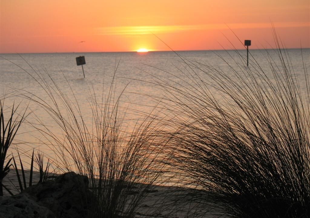 Photo of Others in Pine Island