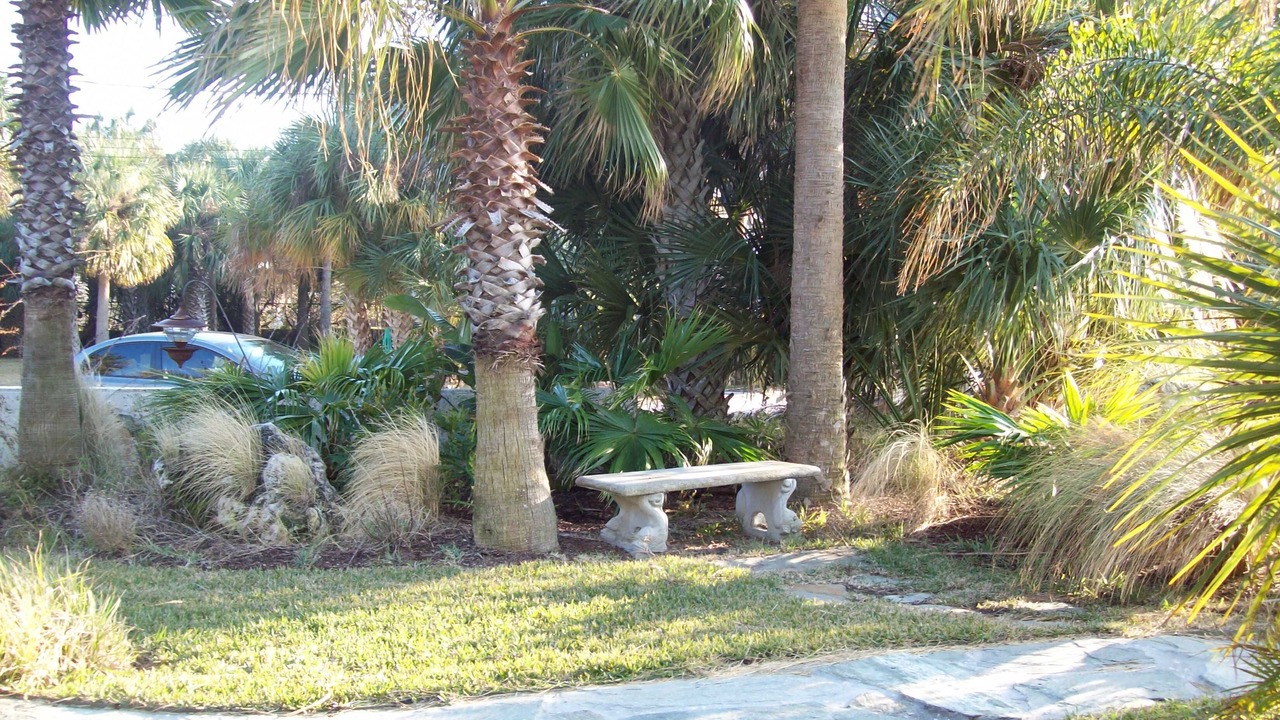Photo of Outdoor in Pine Island