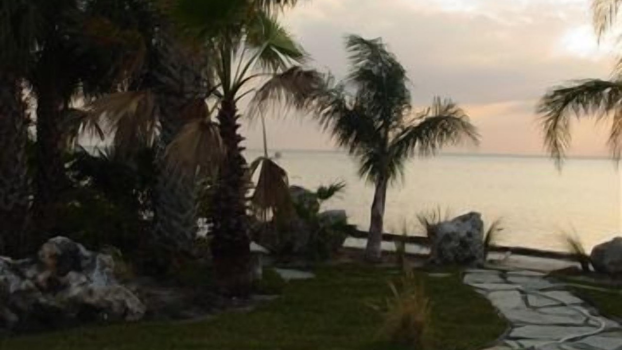 Photo of Outdoor in Pine Island