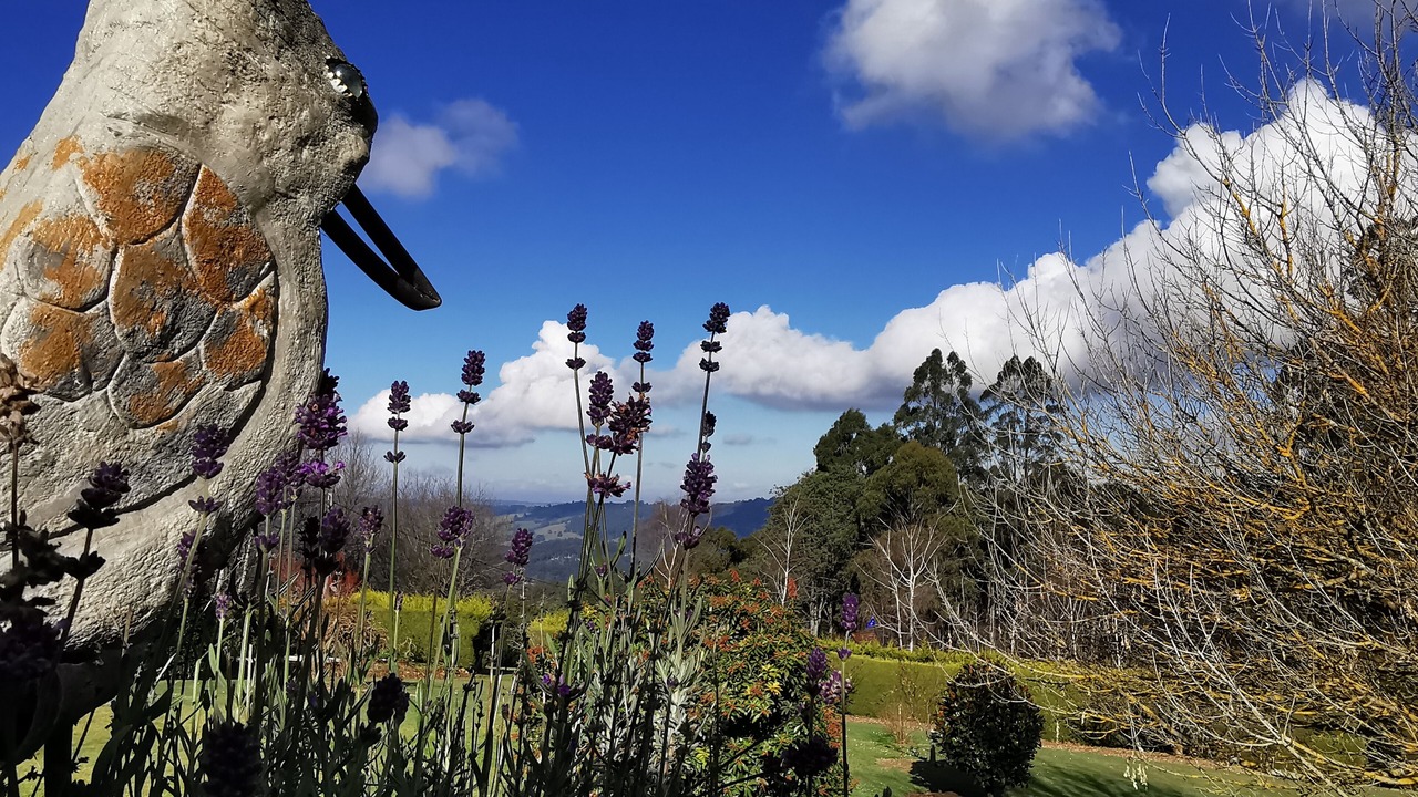 Photo of Outdoor in Olinda