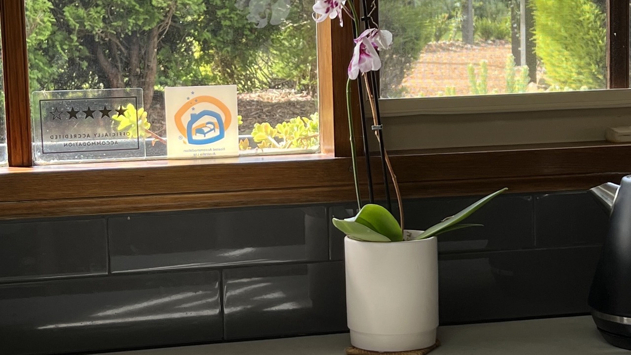 Photo of Others in Olinda