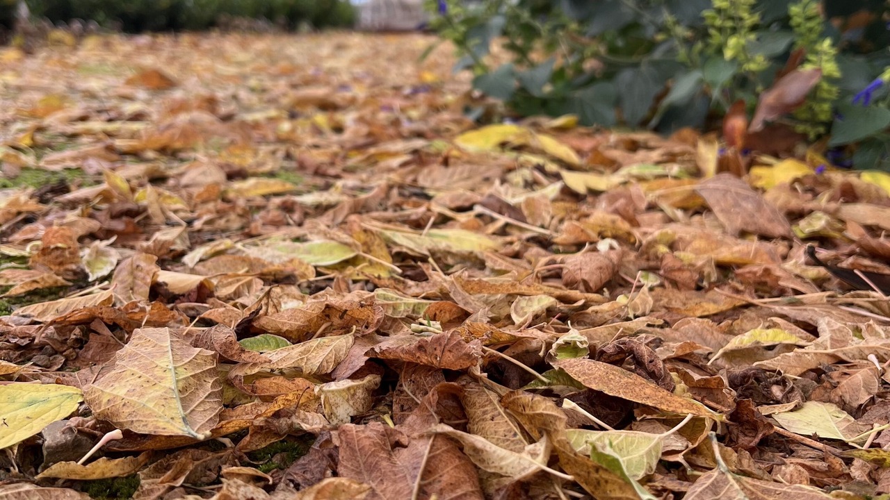 Photo of Outdoor in Olinda