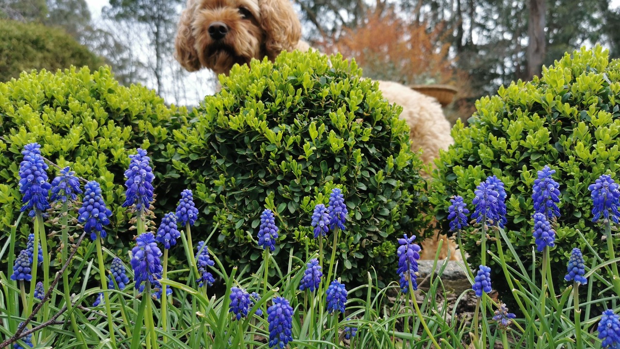 Photo of Outdoor in Olinda