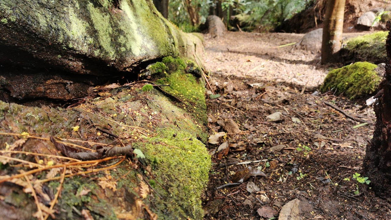 Photo of Outdoor in Olinda