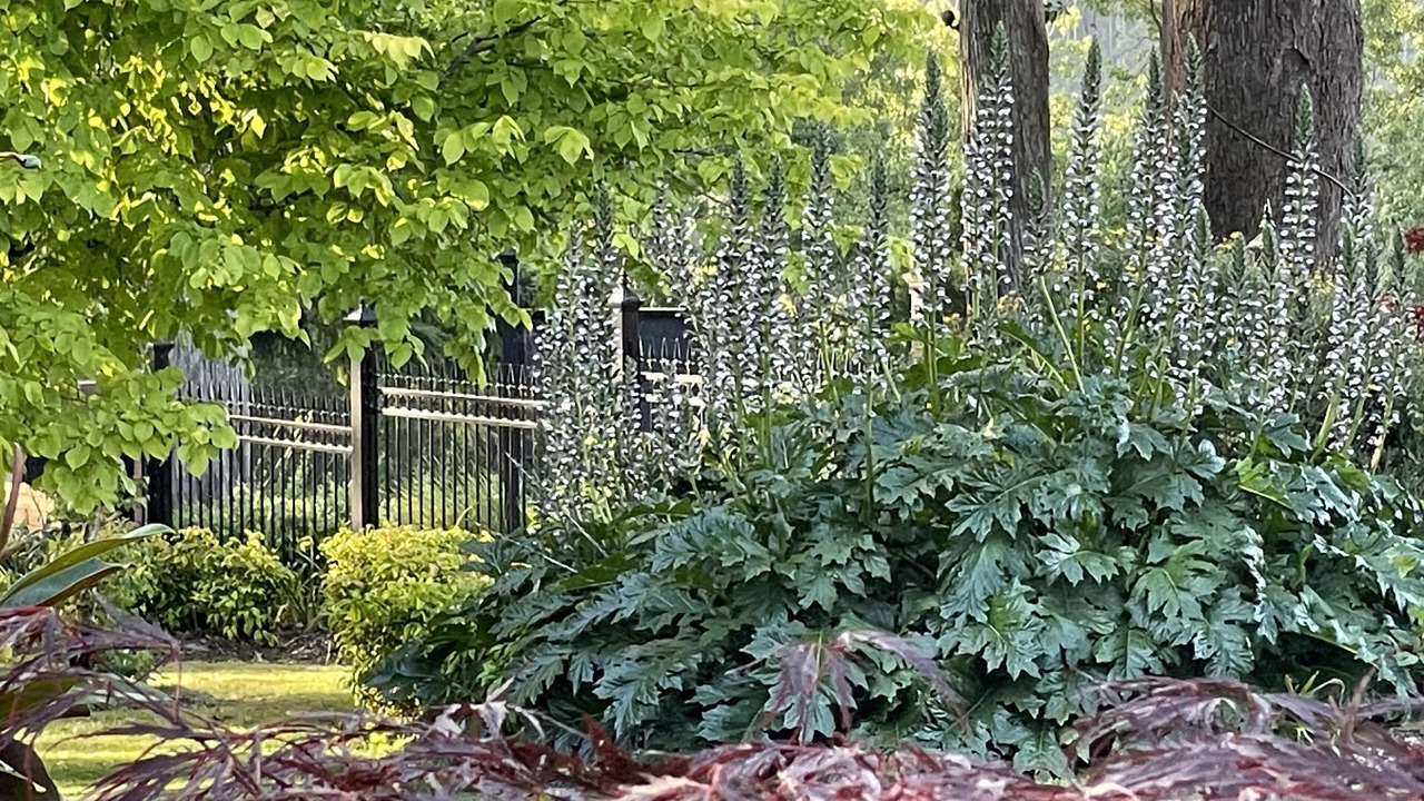 Photo of Outdoor in Olinda