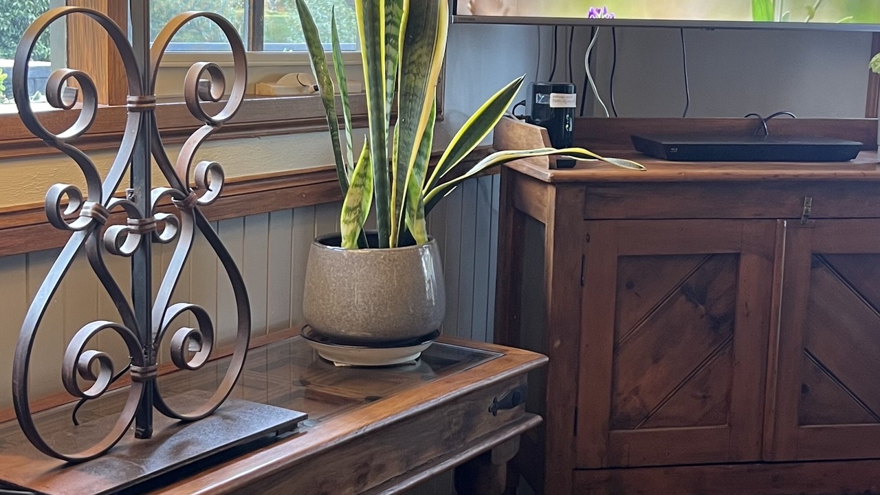 Photo of Others in Olinda