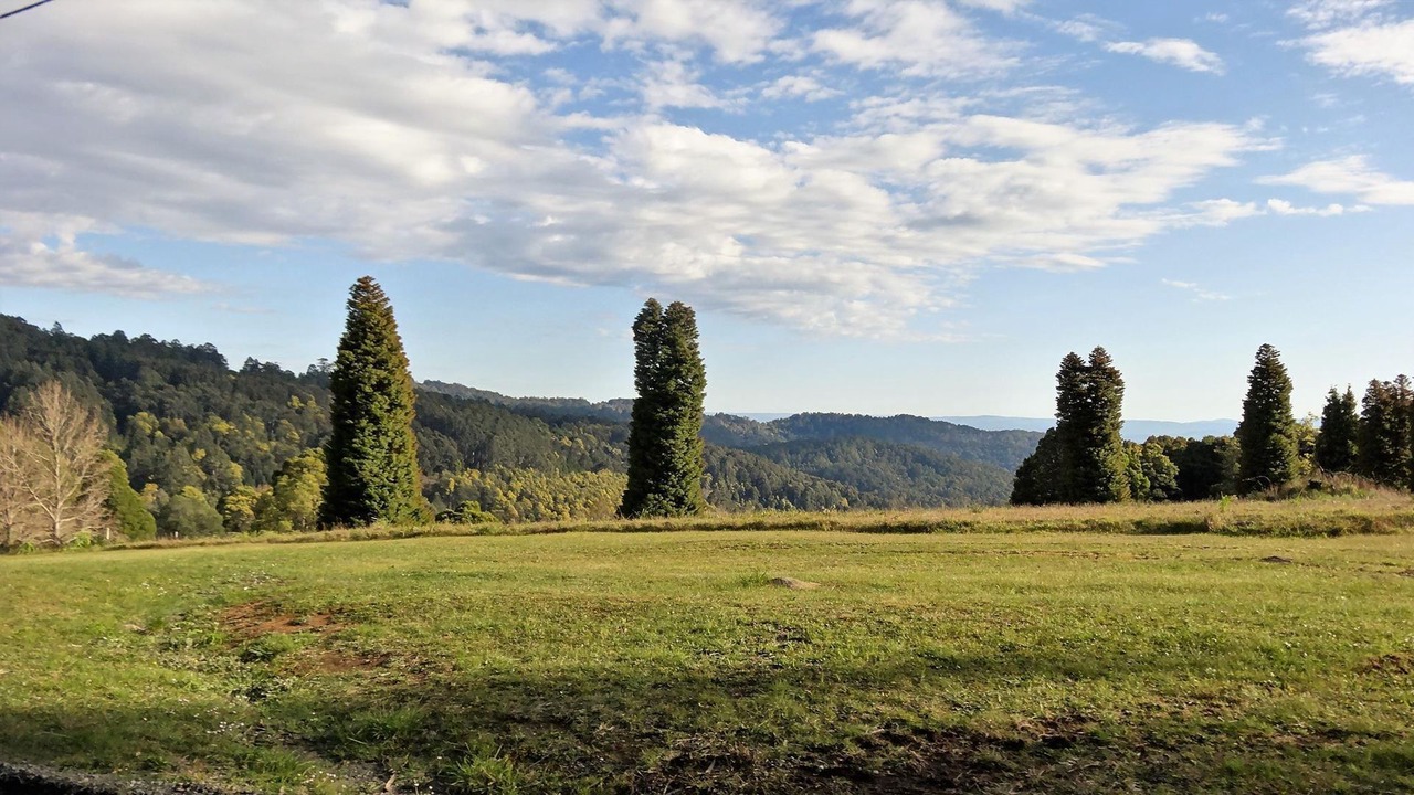 Photo of Others in Olinda