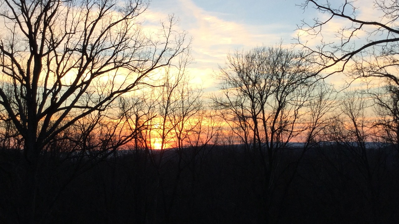 Photo of Others in Luray