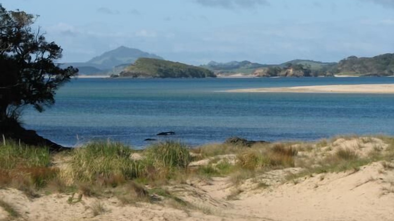 Photo of Others in Ngunguru