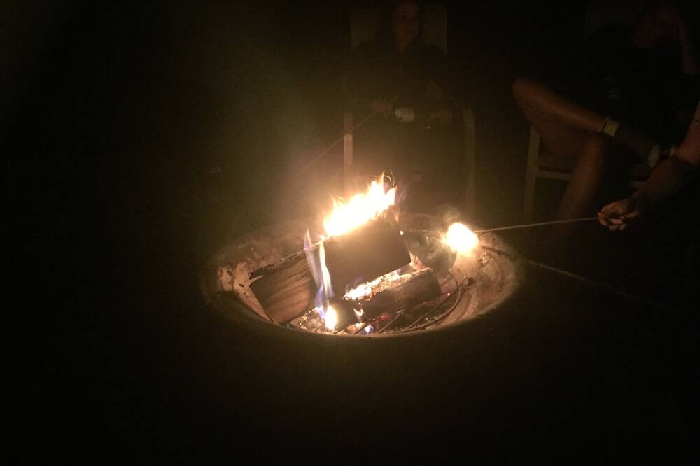 Photo of Outdoor in Picton