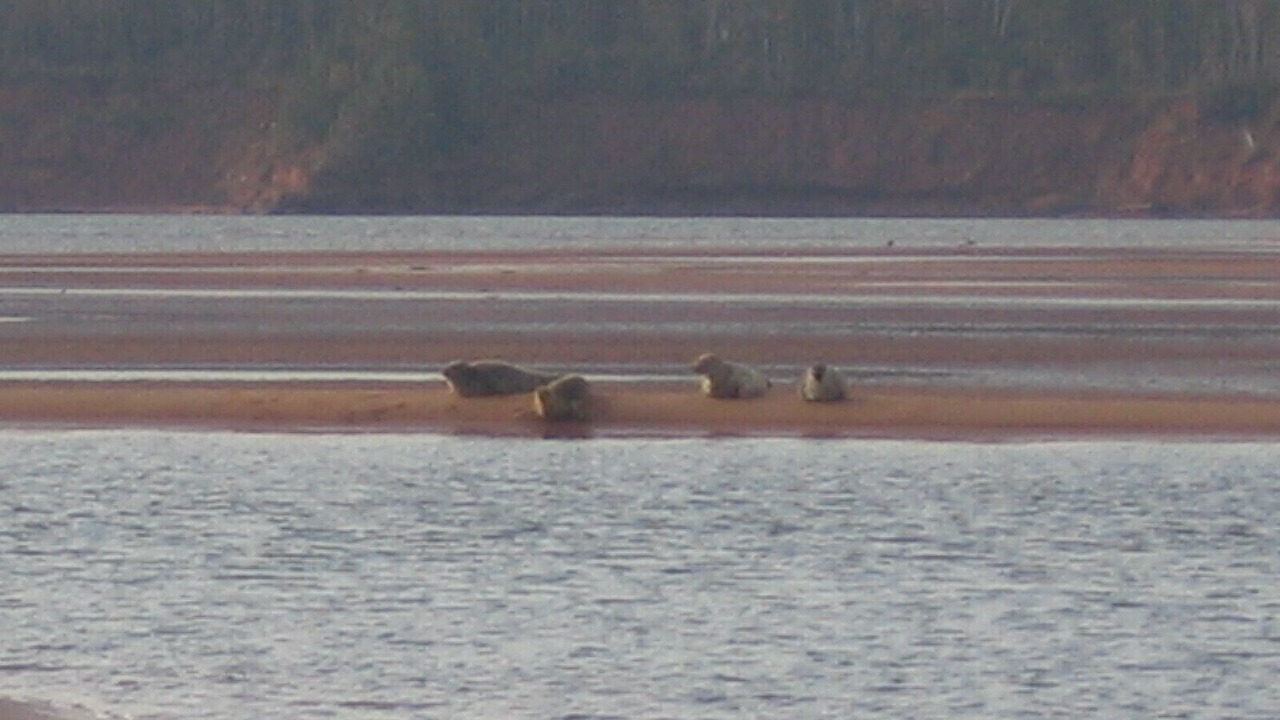 Photo of Others in Red House