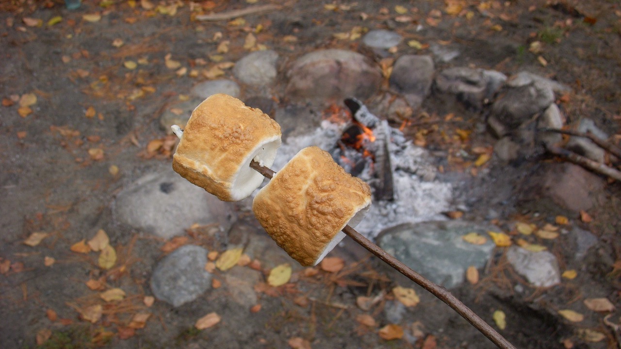Photo of Outdoor in Bolton Landing