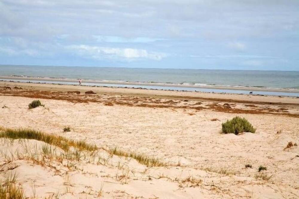 Photo of Others in Largs North