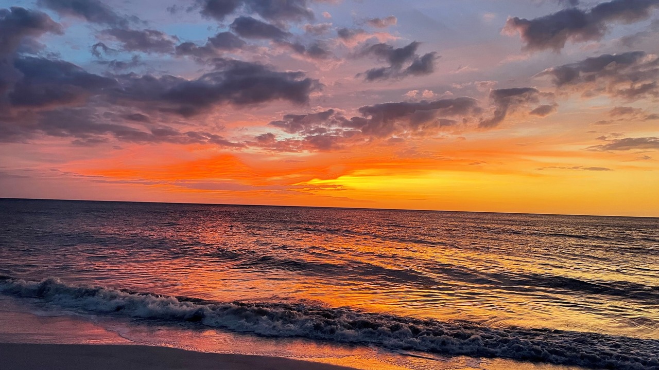 Photo of Others in Indian Rocks Beach