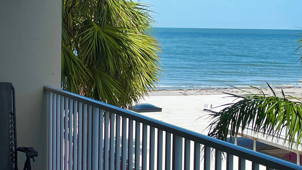 Photo of Outdoor in Indian Rocks Beach