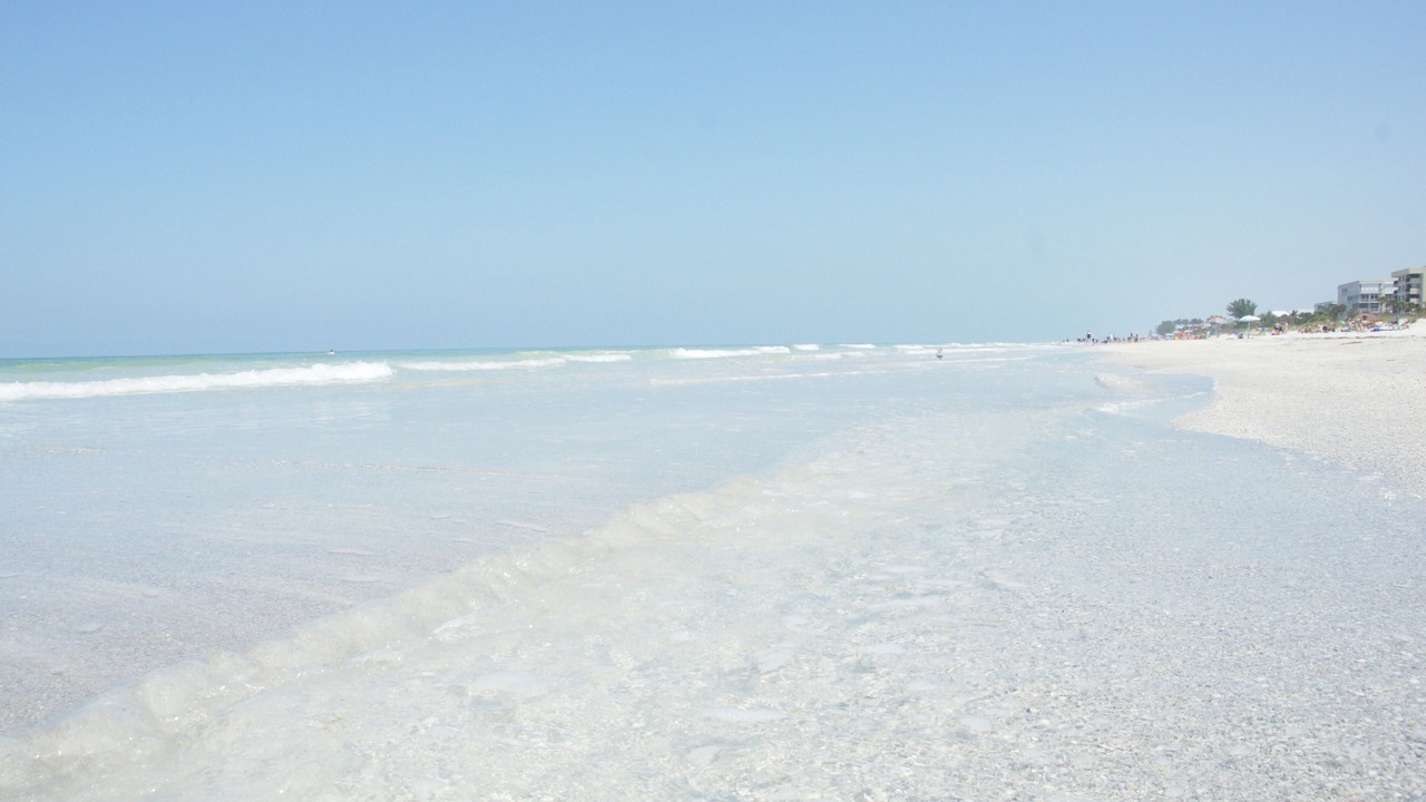 Photo of Others in Indian Rocks Beach