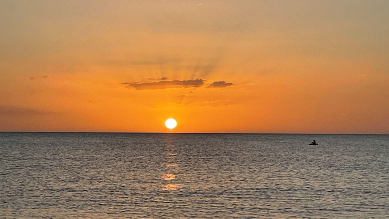 Photo of Others in Indian Rocks Beach