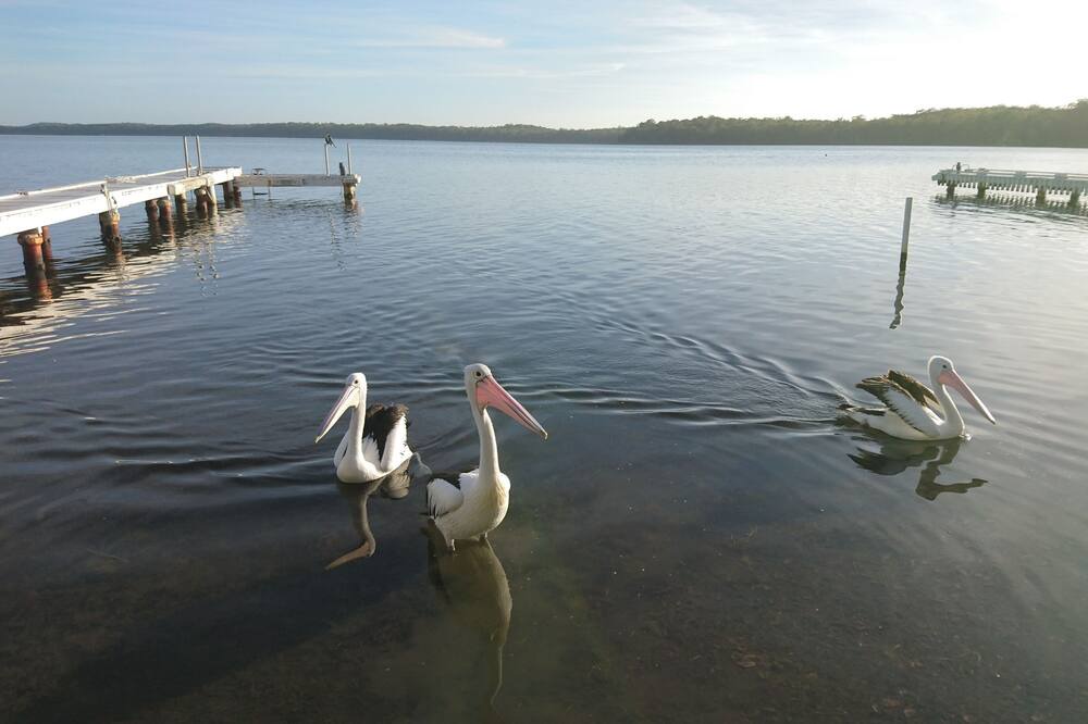 Photo of Others in Summerland Point
