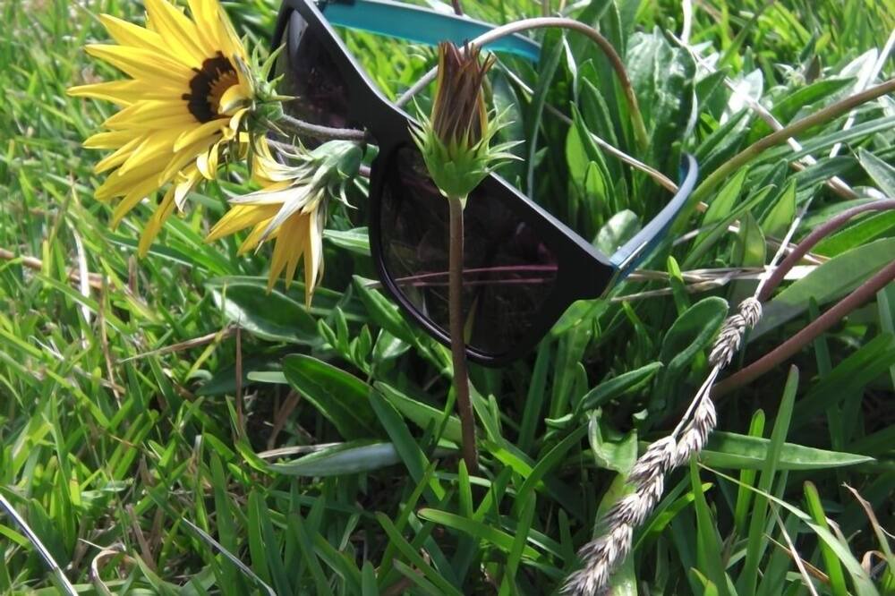 Photo of Others in Himatangi Beach