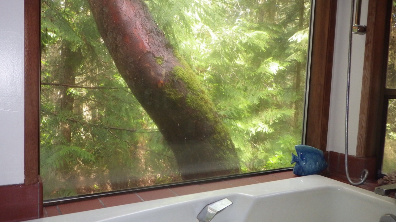 Photo of Others in Adelma Beach