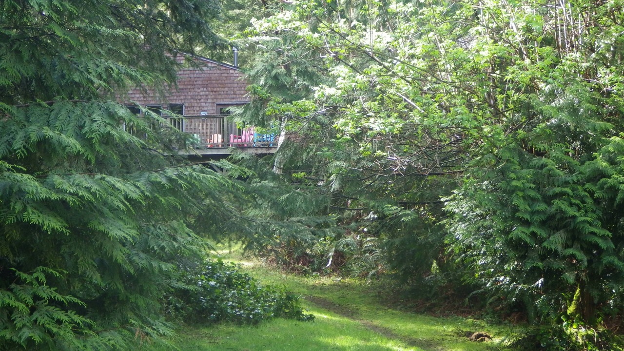 Photo of Outdoor in Adelma Beach