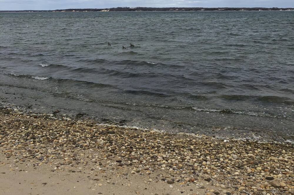 Photo of Others in Noyack