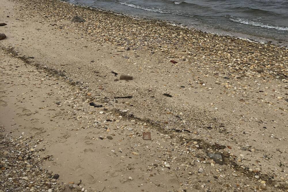 Photo of Others in Noyack