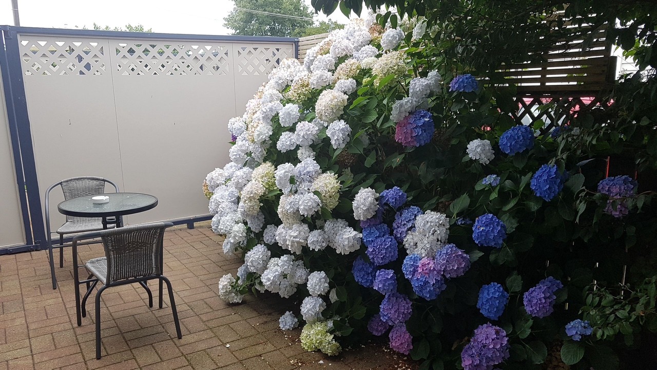 Photo of Outdoor in Otorohanga