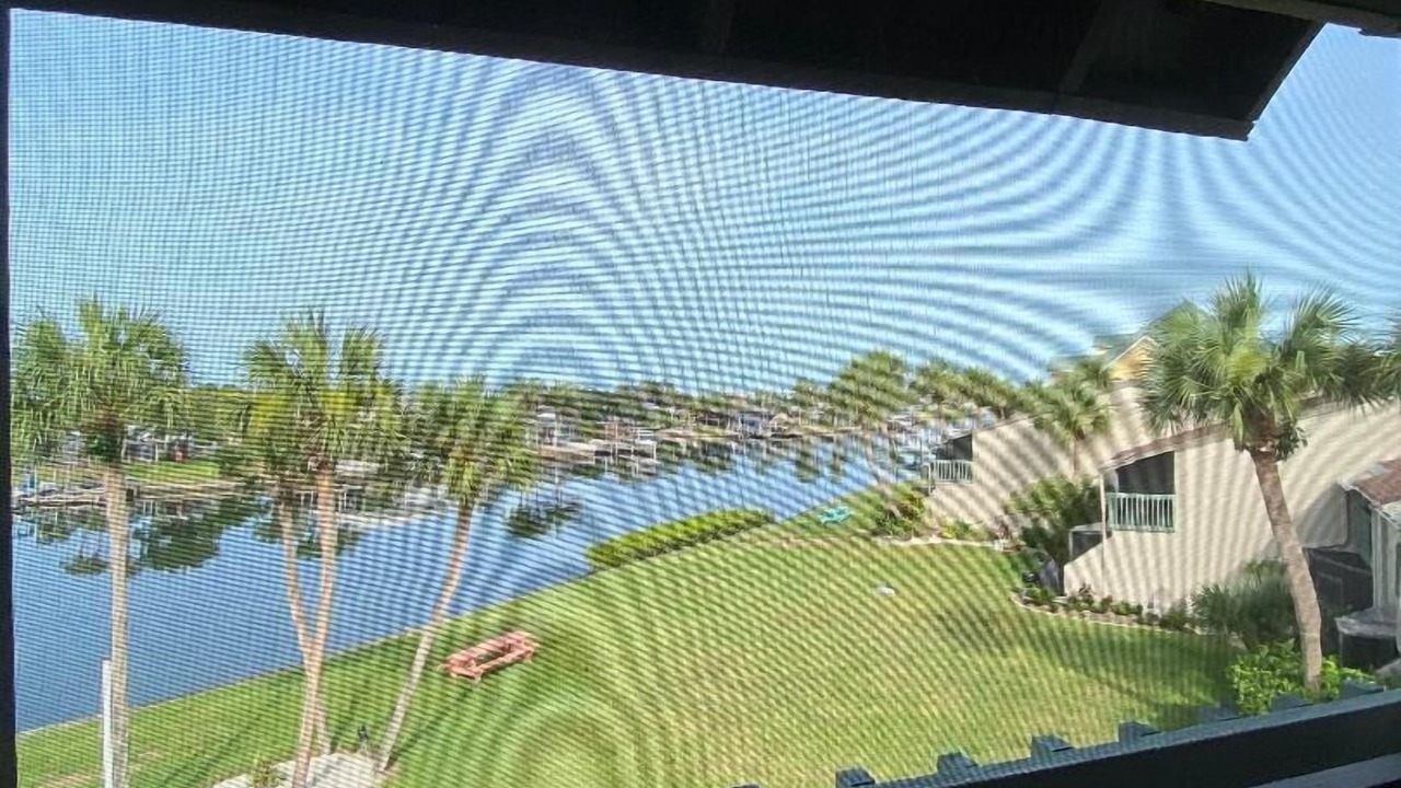 Photo of Outdoor in Apollo Beach