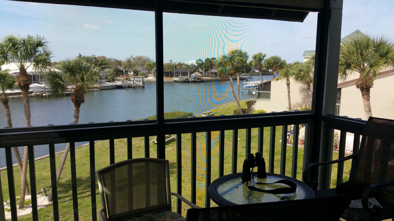 Photo of Outdoor in Apollo Beach