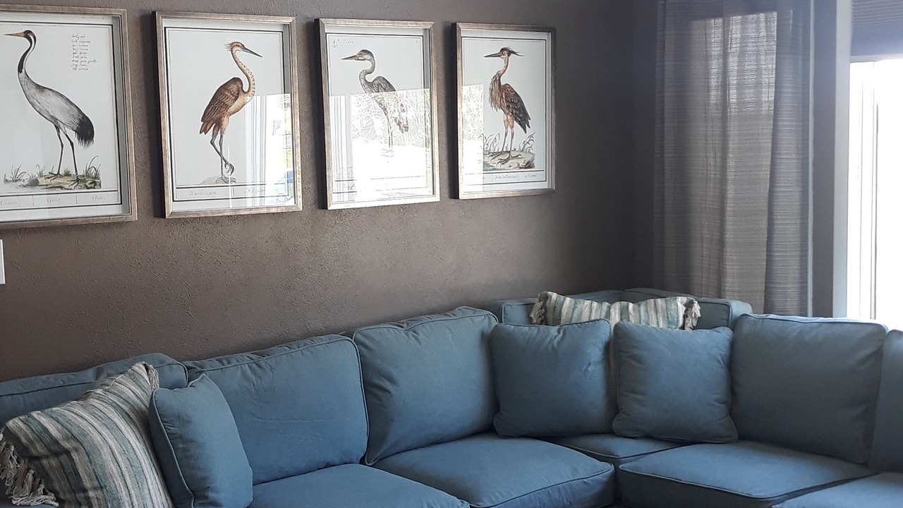 Photo of Livingroom in Allen