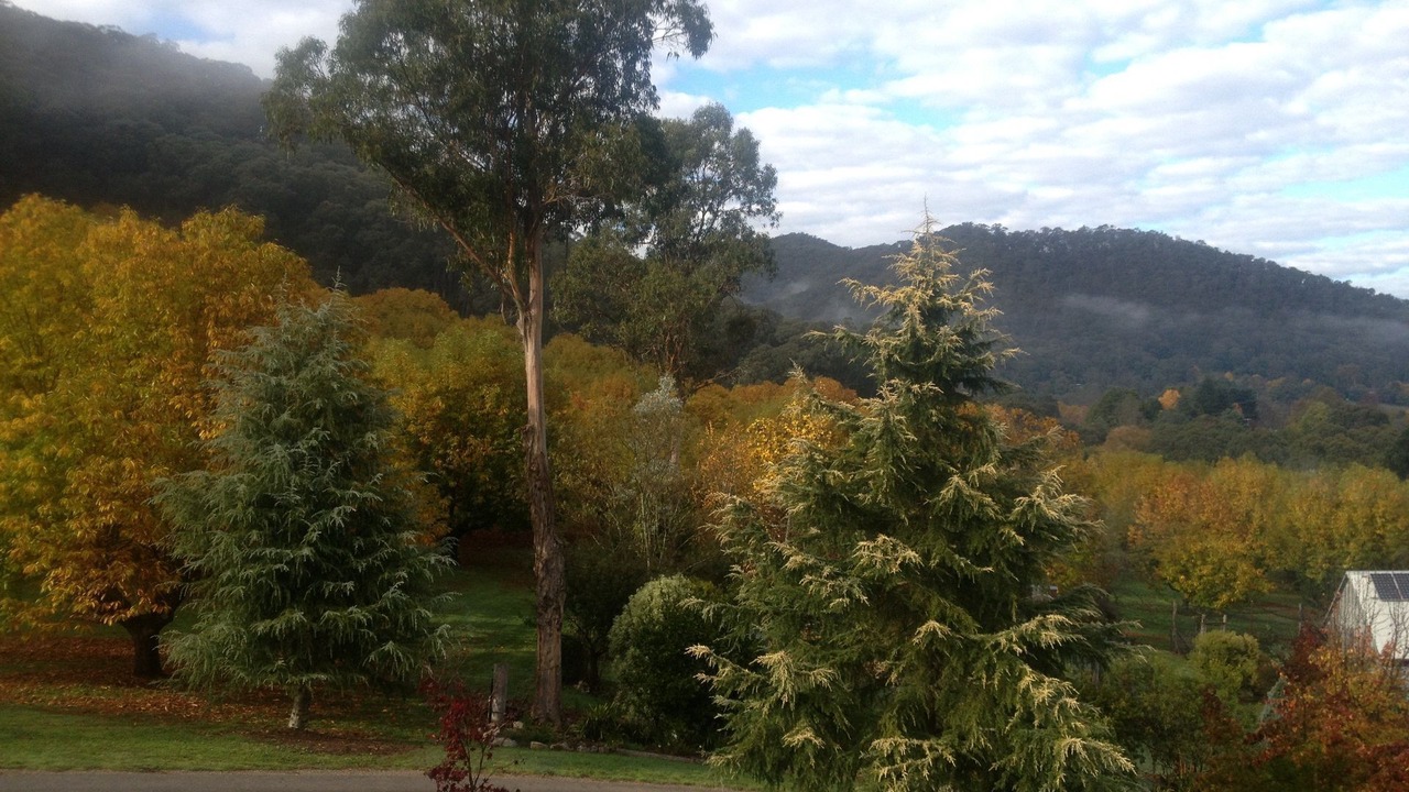 Photo of Outdoor in Wandiligong