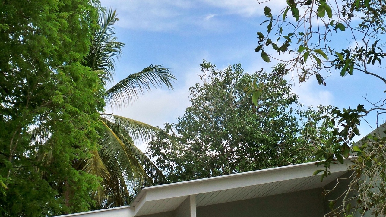 Photo of Outdoor in Kampung Kedawang