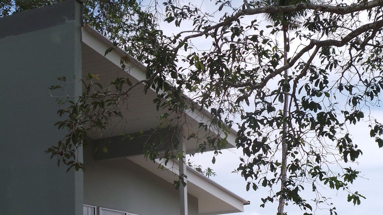 Photo of Outdoor in Kampung Kedawang