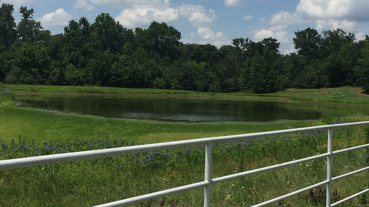 Photo of Outdoor in Hughes Springs