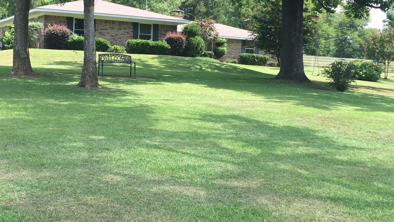 Photo of Outdoor in Hughes Springs