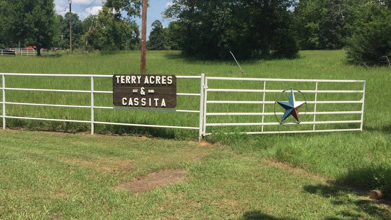 Photo of Outdoor in Hughes Springs