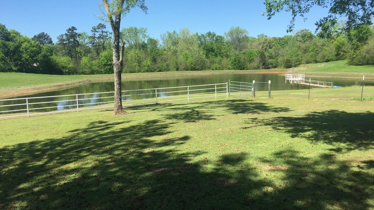 Photo of Others in Hughes Springs