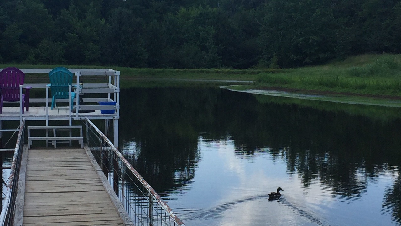 Photo of Outdoor in Hughes Springs