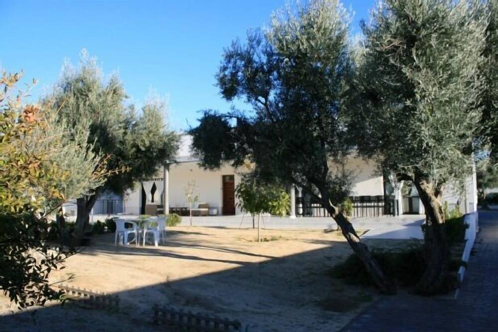 Photo of Outdoor in Olias del Rey