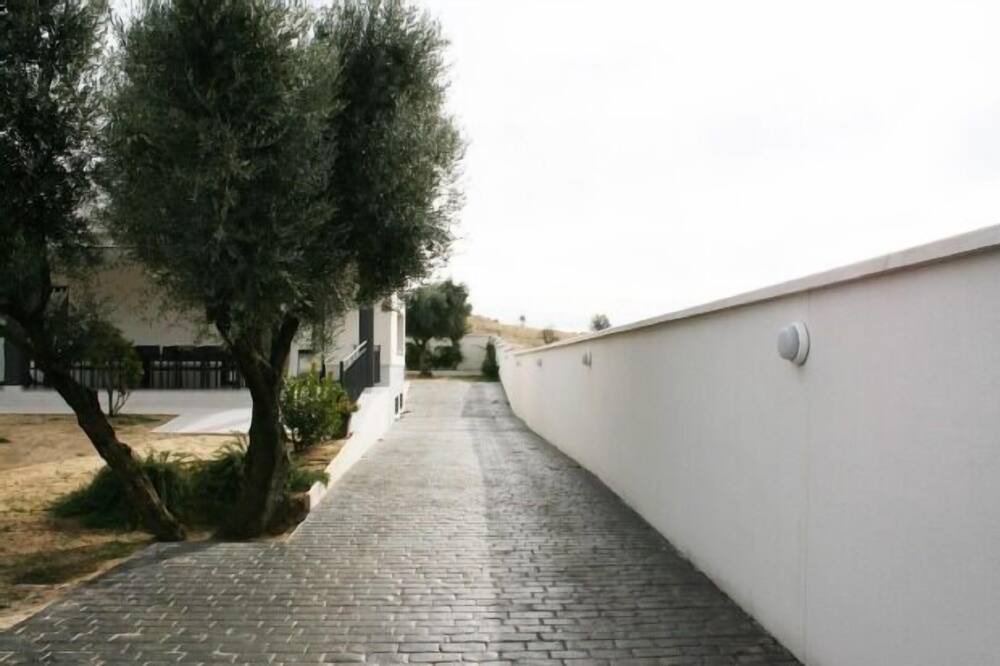 Photo of Outdoor in Olias del Rey
